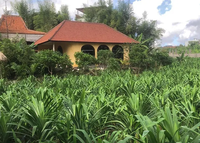 ベッド・アンド・ブレックファスト Ubuntu Bali Eco Yoga Retreat - チャングー