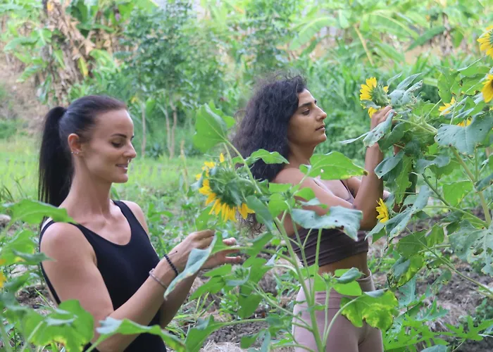 ベッド・アンド・ブレックファスト Ubuntu Bali Eco Yoga Retreat - 3*